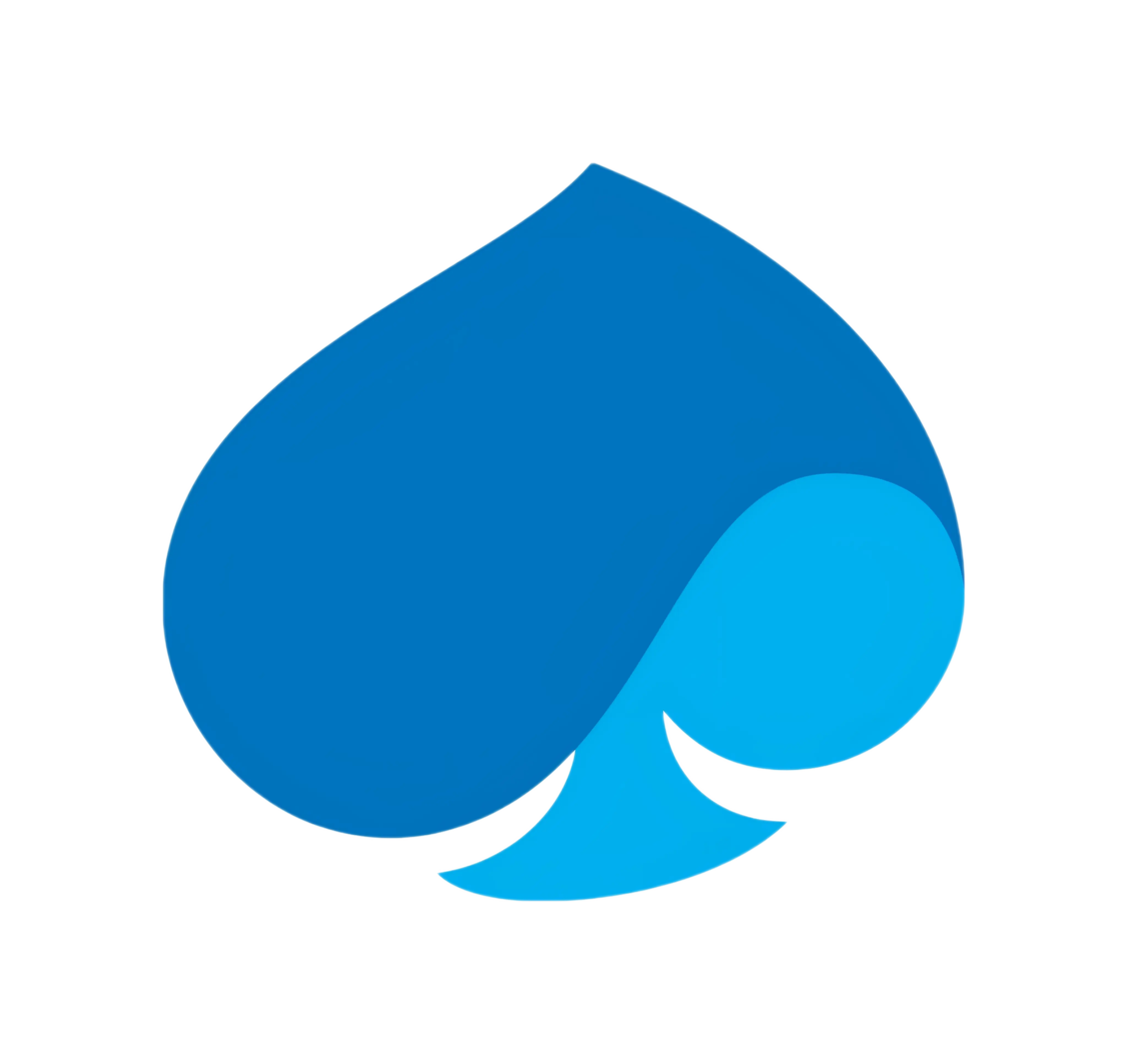 Capgemini